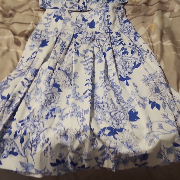 Blue and White Sleeveless Sundress with Square Neck and A-line Style - Picture 4 of 5